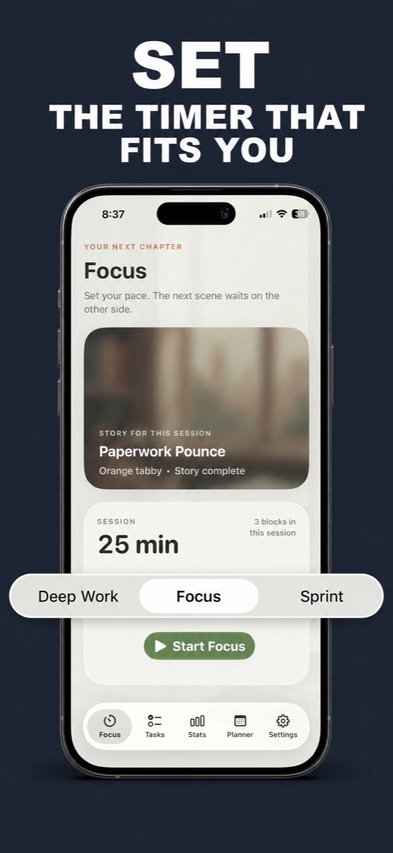 Mewmentum timer setup shown in full
